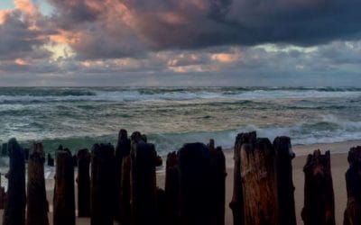 WAT NIIS Nr. 17 – Newsletter der Sölring Foriining