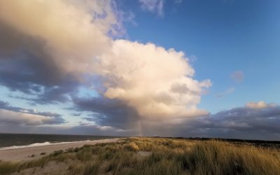 En Skeps-Malöör bi Strön