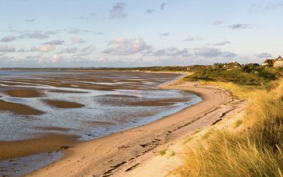 WAT NIIS März 2026 – Newsletter der Sölring Foriining