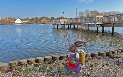 Puask üp Söl jüster en deling